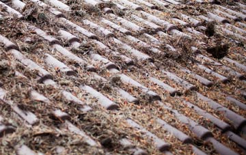 Halfway roof cleaning companies